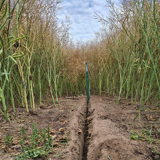 Agbyte Soil Moisture Probe